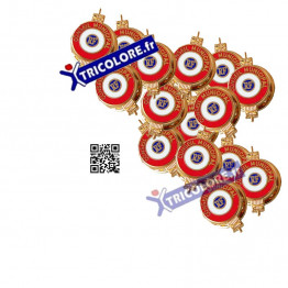 Pack de 15 pins boutonnière CONSEIL MUNICIPAL